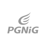 Logo_PGNiG_Szare