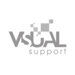 Logo_Visual Support_Szare